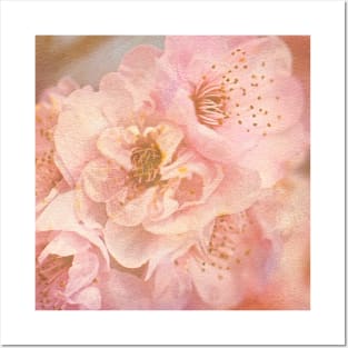 Spring Textured Pink Flowers Posters and Art